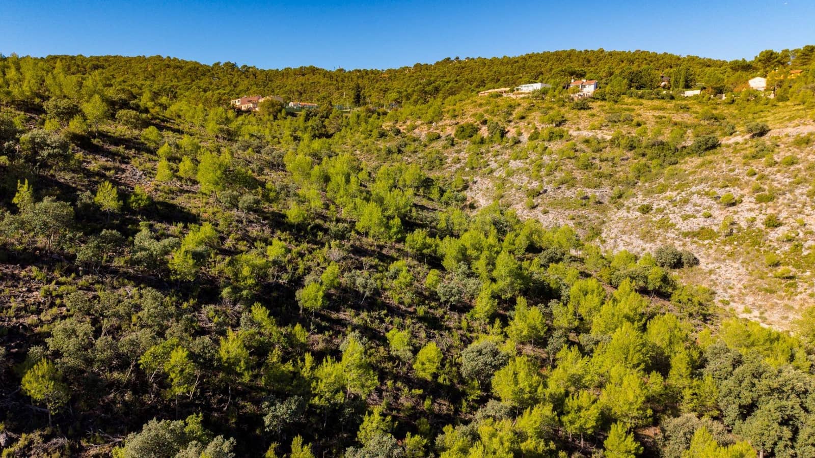 Bouwgrond te koop in Albalate de Zorita - € 649.000 (Ref: 10177155)