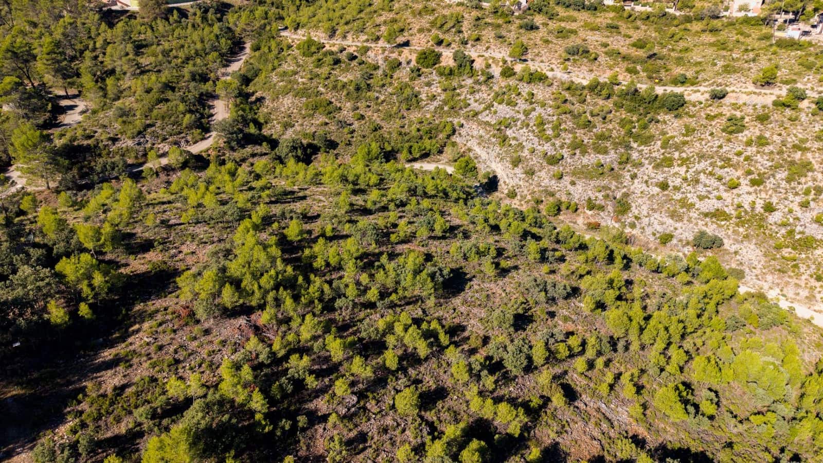 Bouwgrond te koop in Albalate de Zorita - € 649.000 (Ref: 10177155)