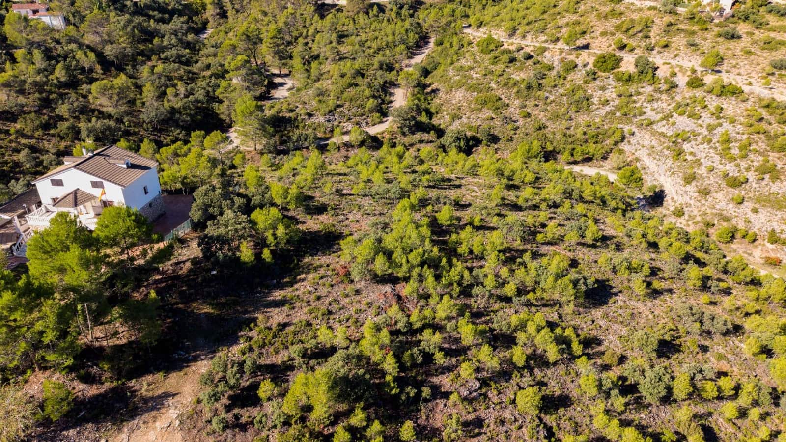 Bouwgrond te koop in Albalate de Zorita - € 649.000 (Ref: 10177155)