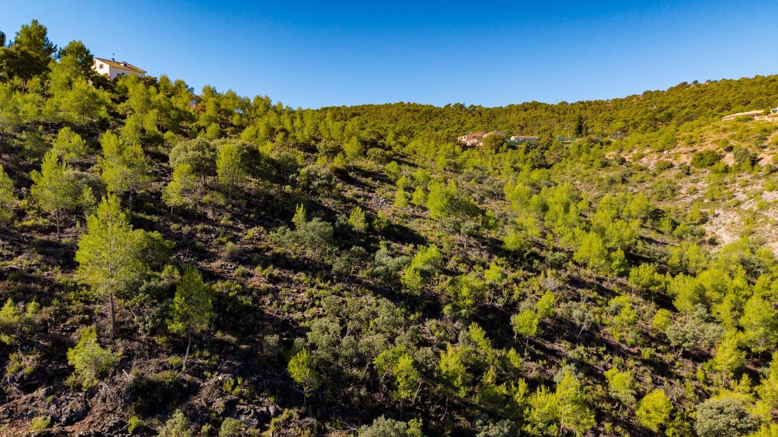 Bouwgrond te koop in Albalate de Zorita - € 649.000 (Ref: 10177155)