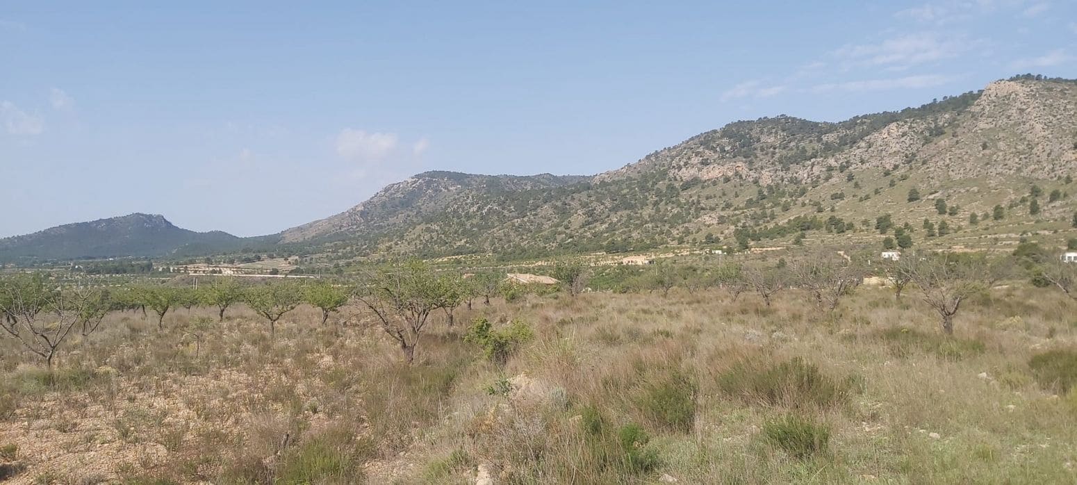 Undeveloped Land for sale in Salinas - € 29,900 (Ref: 8041911)