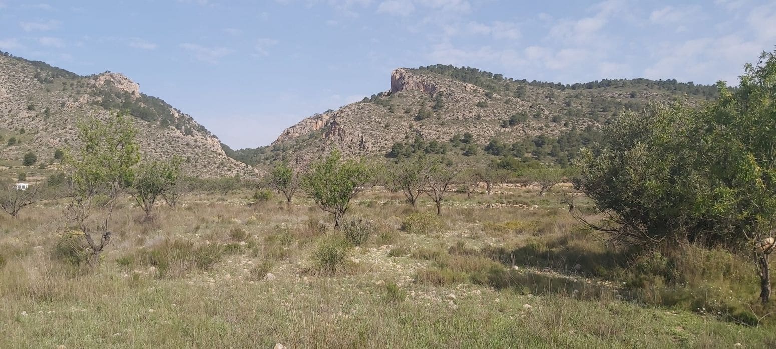 Undeveloped Land for sale in Salinas - € 29,900 (Ref: 8041911)