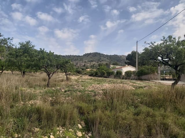 Grunde uden byggetilladelser til salg i Salinas - € 29.900 (Ref: 8041911)
