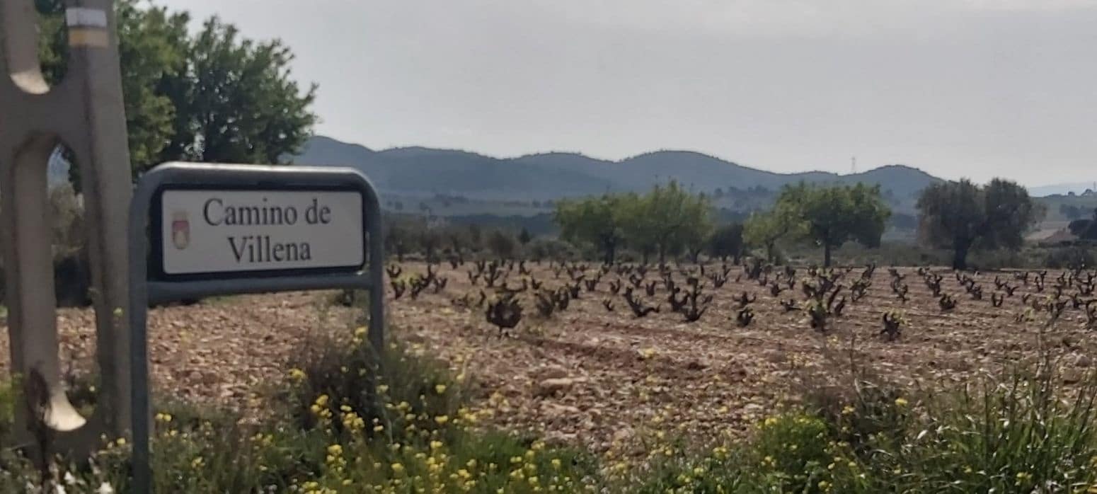 Undeveloped Land for sale in Salinas - € 29,900 (Ref: 8041911)