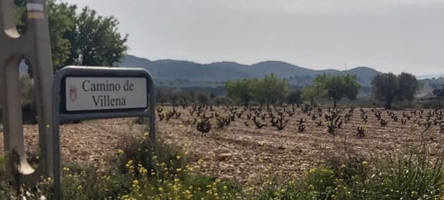 Grunde uden byggetilladelser til salg i Salinas - € 29.900 (Ref: 8041911)