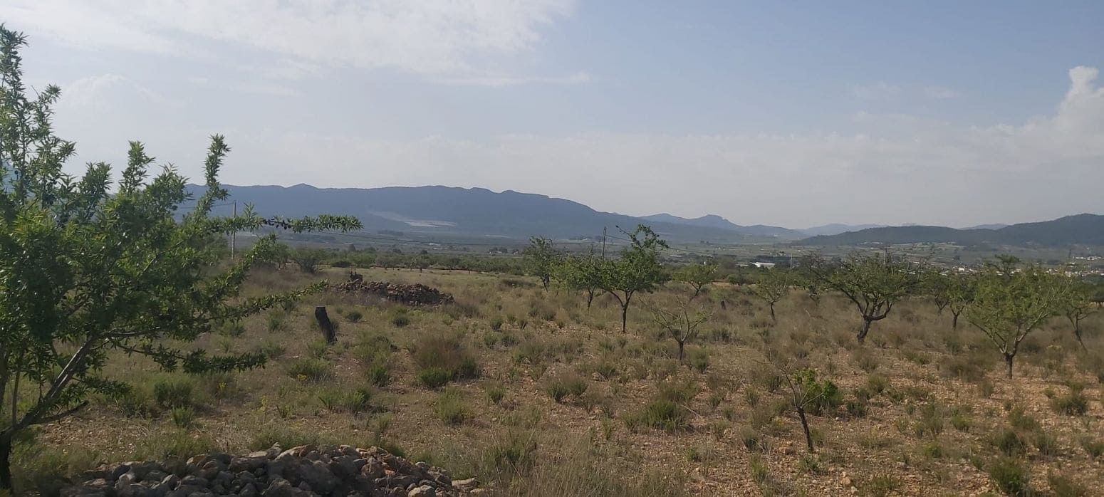 Undeveloped Land for sale in Salinas - € 29,900 (Ref: 8041911)