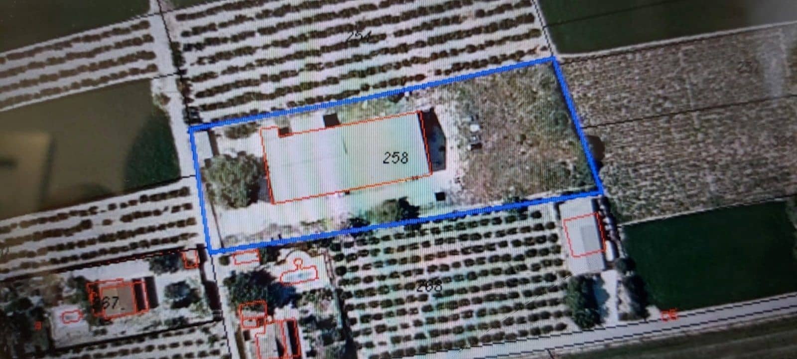 Bedrift til salgs i Dolores - € 369 000 (Ref: 8041928)