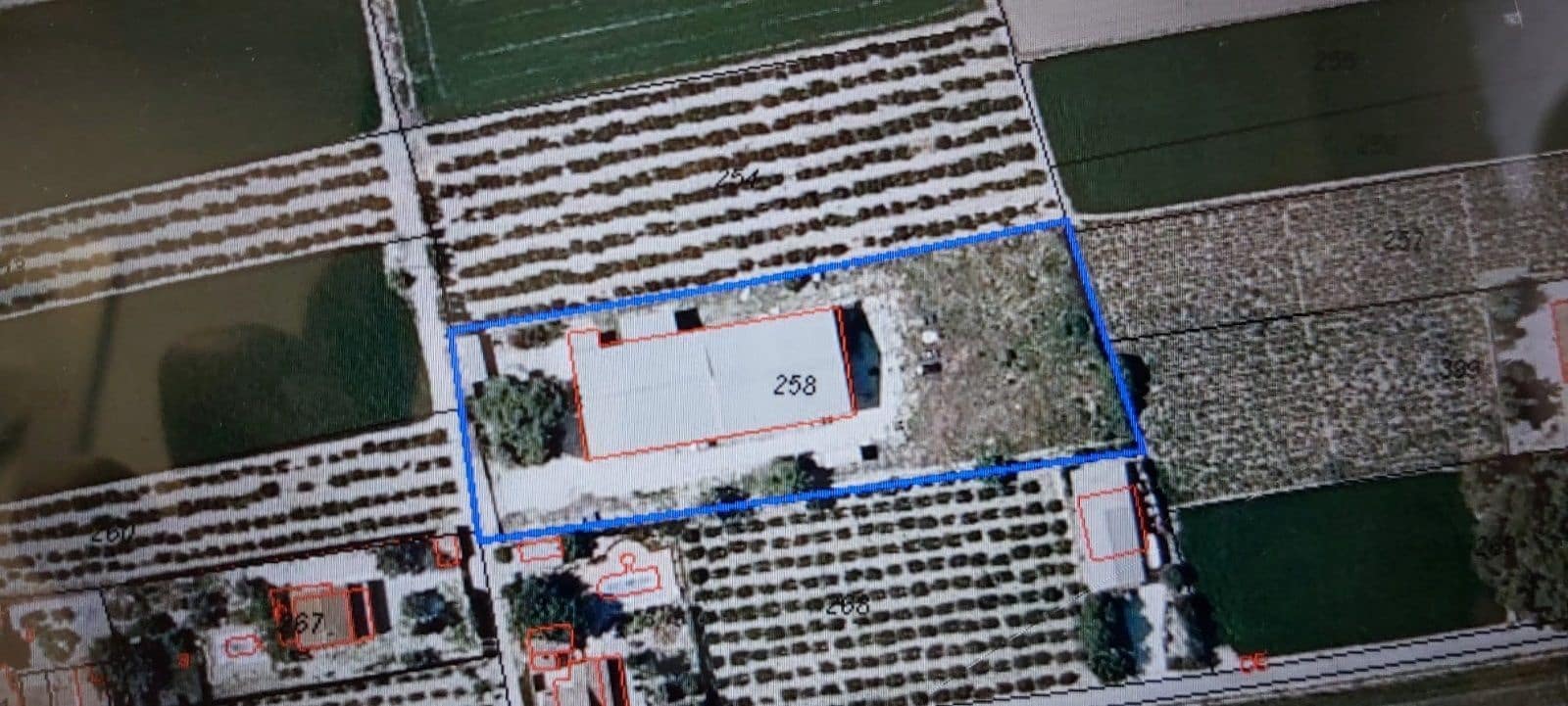 Bedrift til salgs i Dolores - € 369 000 (Ref: 8041928)