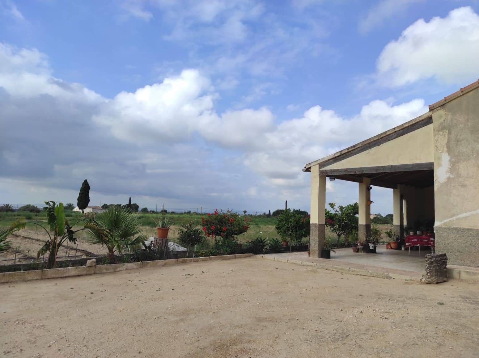 Terreno/Finca Rústica en Elche / Elx en venta - 436.000 € (Ref: 8041945)