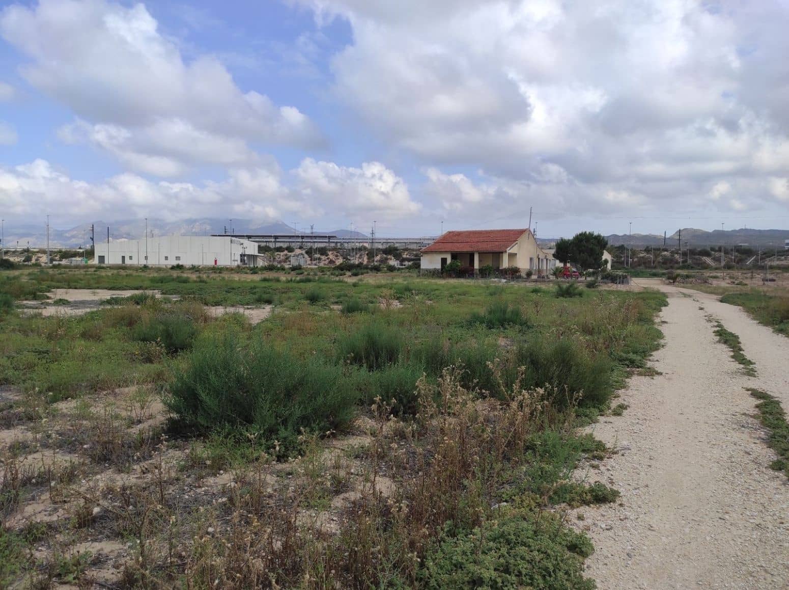 Terreno/Finca Rústica en Elche / Elx en venta - 436.000 € (Ref: 8041945)