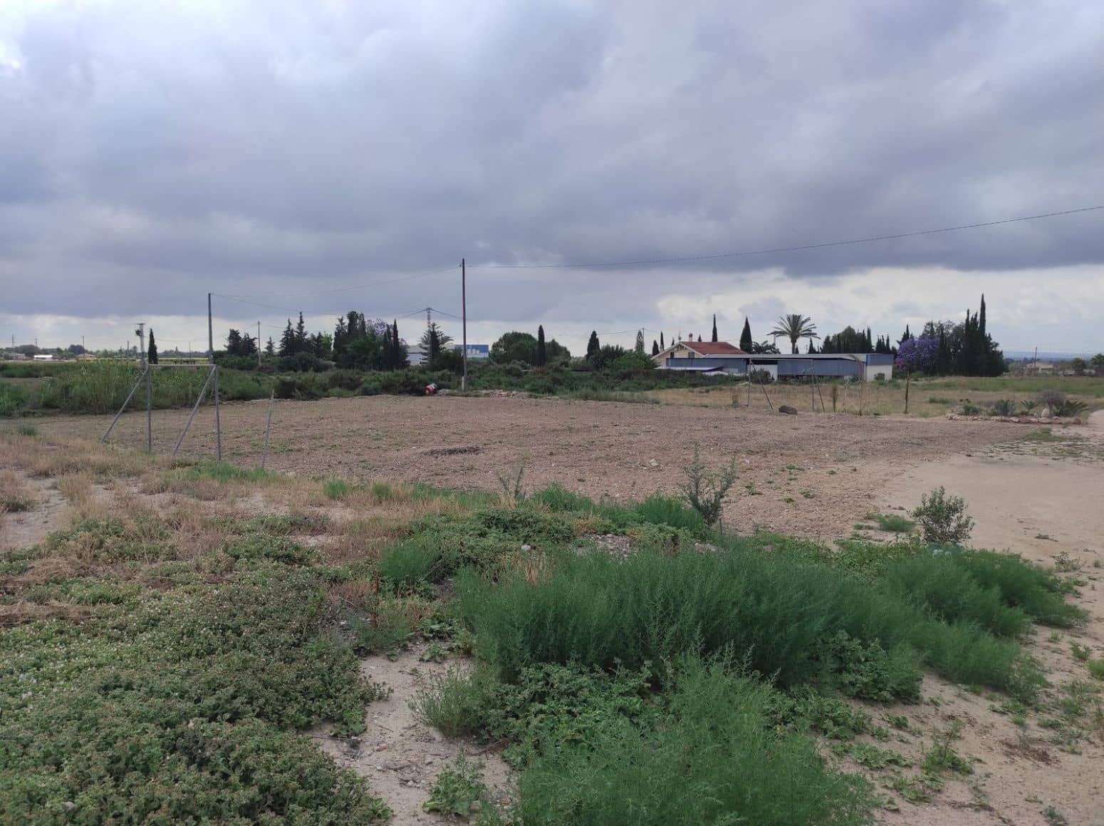 Terreno/Finca Rústica en Elche / Elx en venta - 436.000 € (Ref: 8041945)