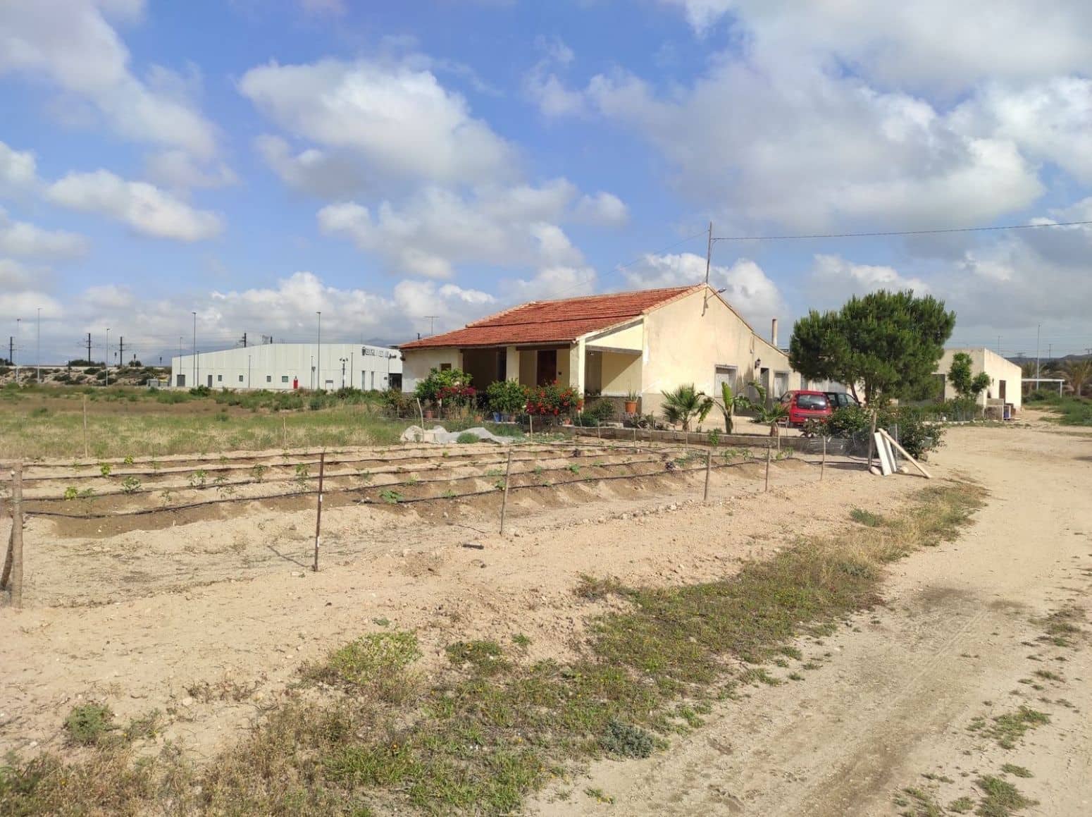 Terreno/Finca Rústica en Elche / Elx en venta - 436.000 € (Ref: 8041945)