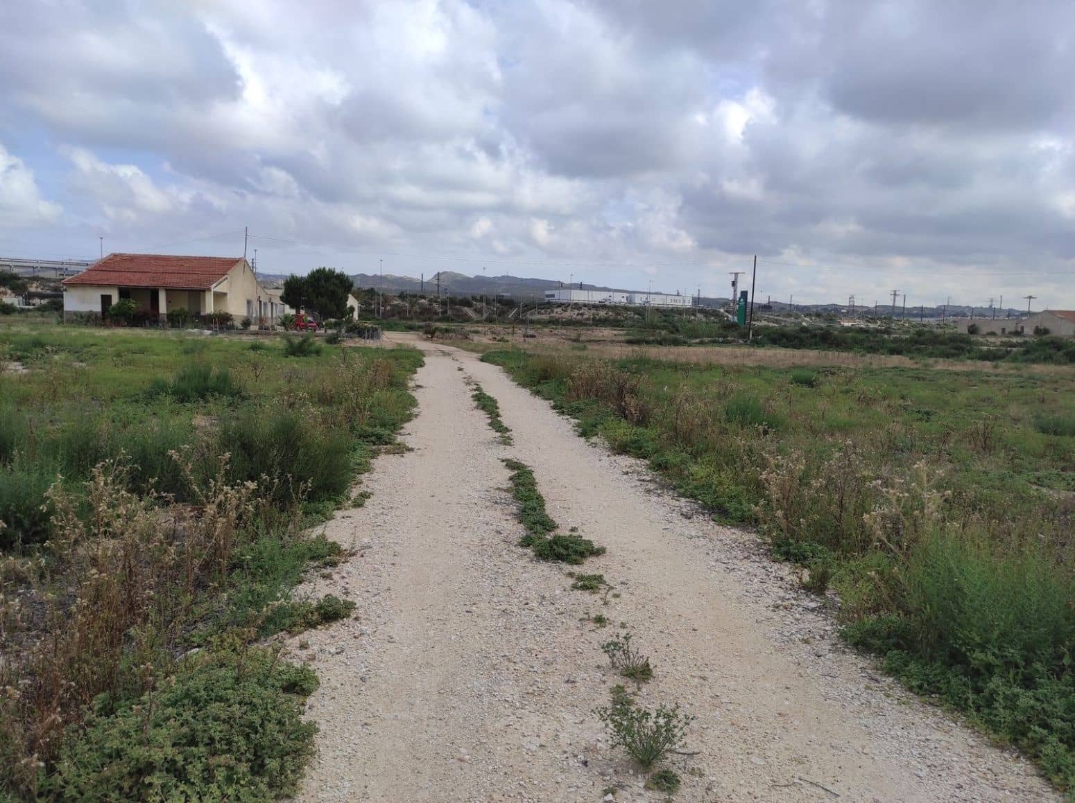 Terreno/Finca Rústica en Elche / Elx en venta - 436.000 € (Ref: 8041945)