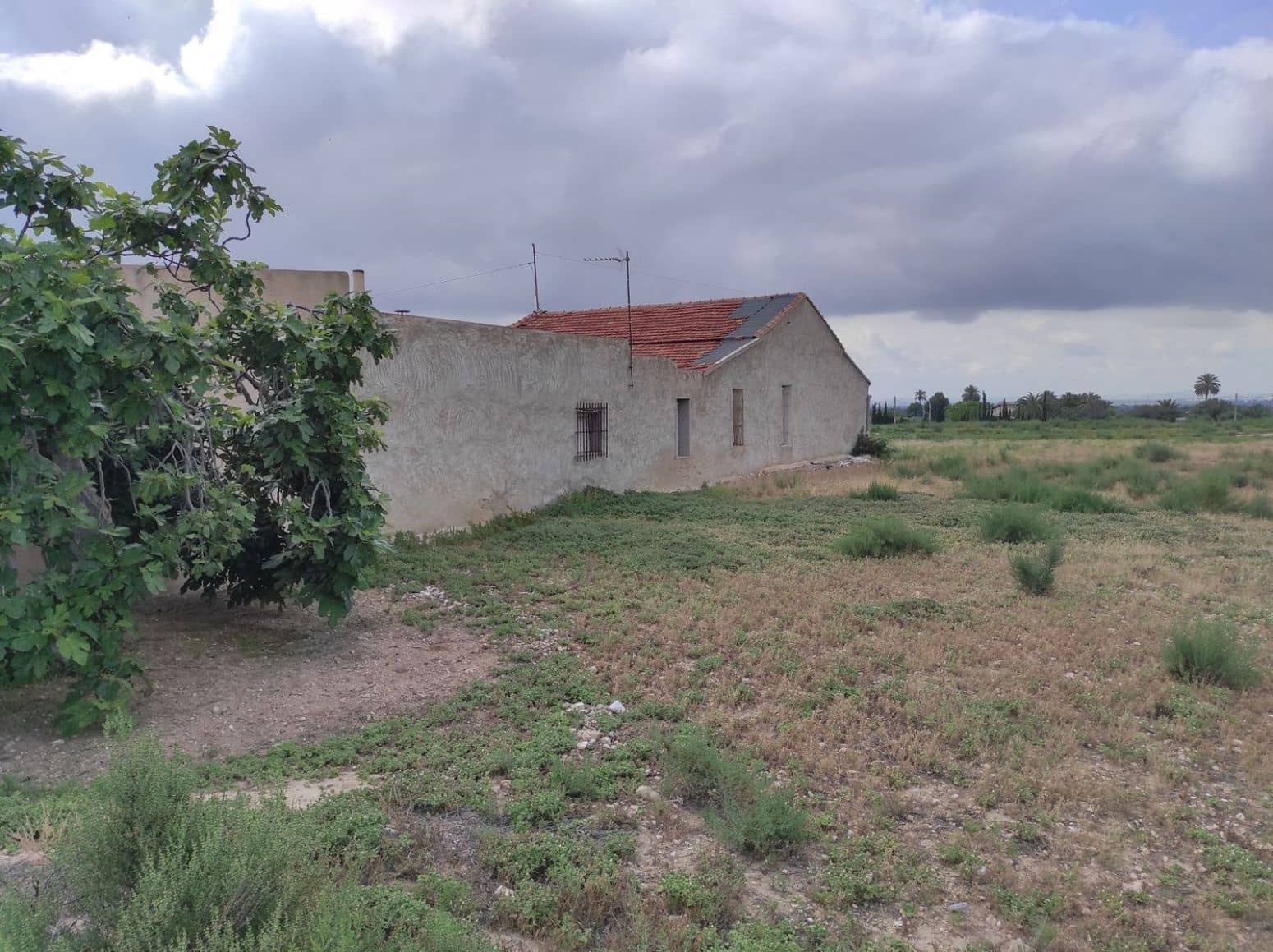 Terreno/Finca Rústica en Elche / Elx en venta - 436.000 € (Ref: 8041945)