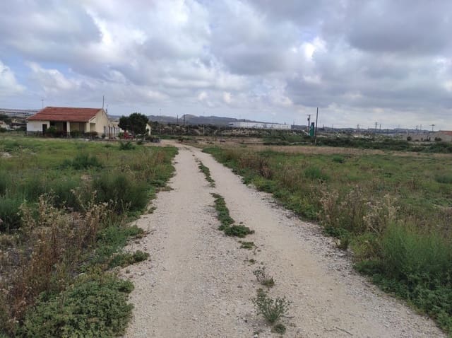 Terreno/Finca Rústica en Elche / Elx en venta - 436.000 € (Ref: 8041945)