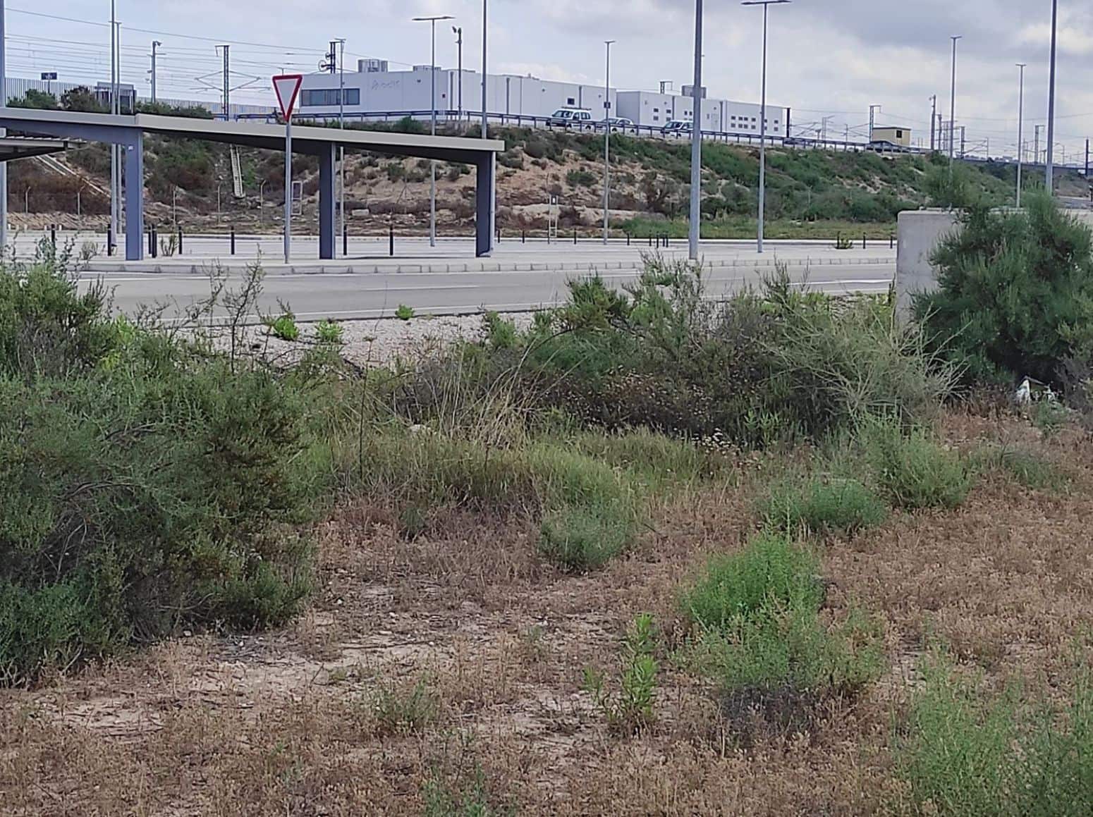 Terreno/Finca Rústica en Elche / Elx en venta - 436.000 € (Ref: 8041945)