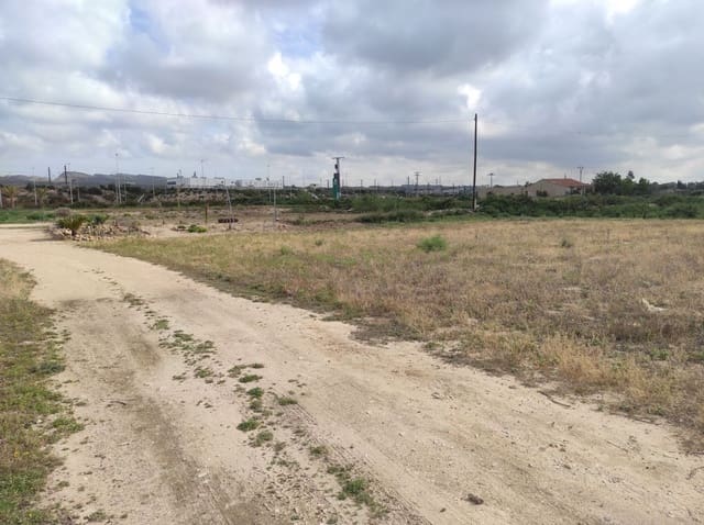 Terreno/Finca Rústica en Elche / Elx en venta - 436.000 € (Ref: 8041945)