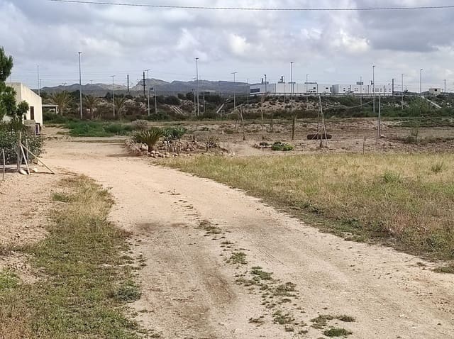 Terreno/Finca Rústica en Elche / Elx en venta - 436.000 € (Ref: 8041945)