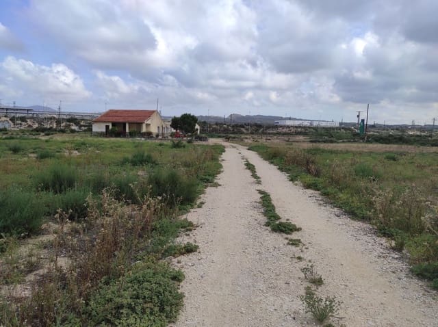 Terreno/Finca Rústica en Elche / Elx en venta - 436.000 € (Ref: 8041945)