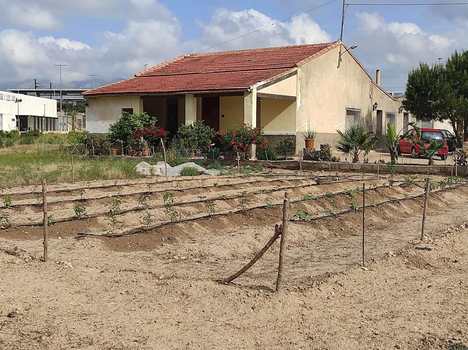 Terreno/Finca Rústica en Elche / Elx en venta - 436.000 € (Ref: 8041945)