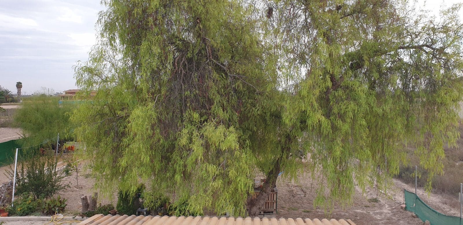 3 soveværelse Rækkehus til salg i Granja de Rocamora med garage - € 185.999 (Ref: 8049837)