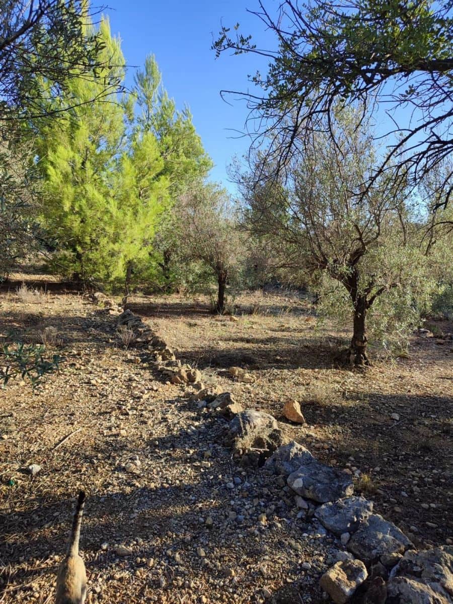 Grond te koop in Beniarbeig - € 73.000 (Ref: 8052333)