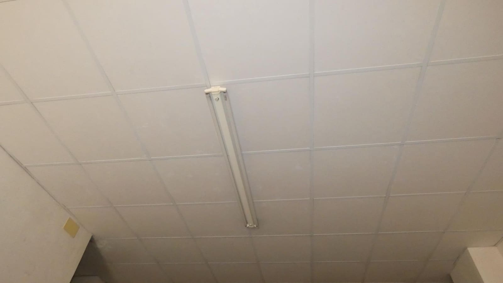 Gewerbe zu verkaufen in Elche / Elx - 59.900 € (Ref: 8054093)