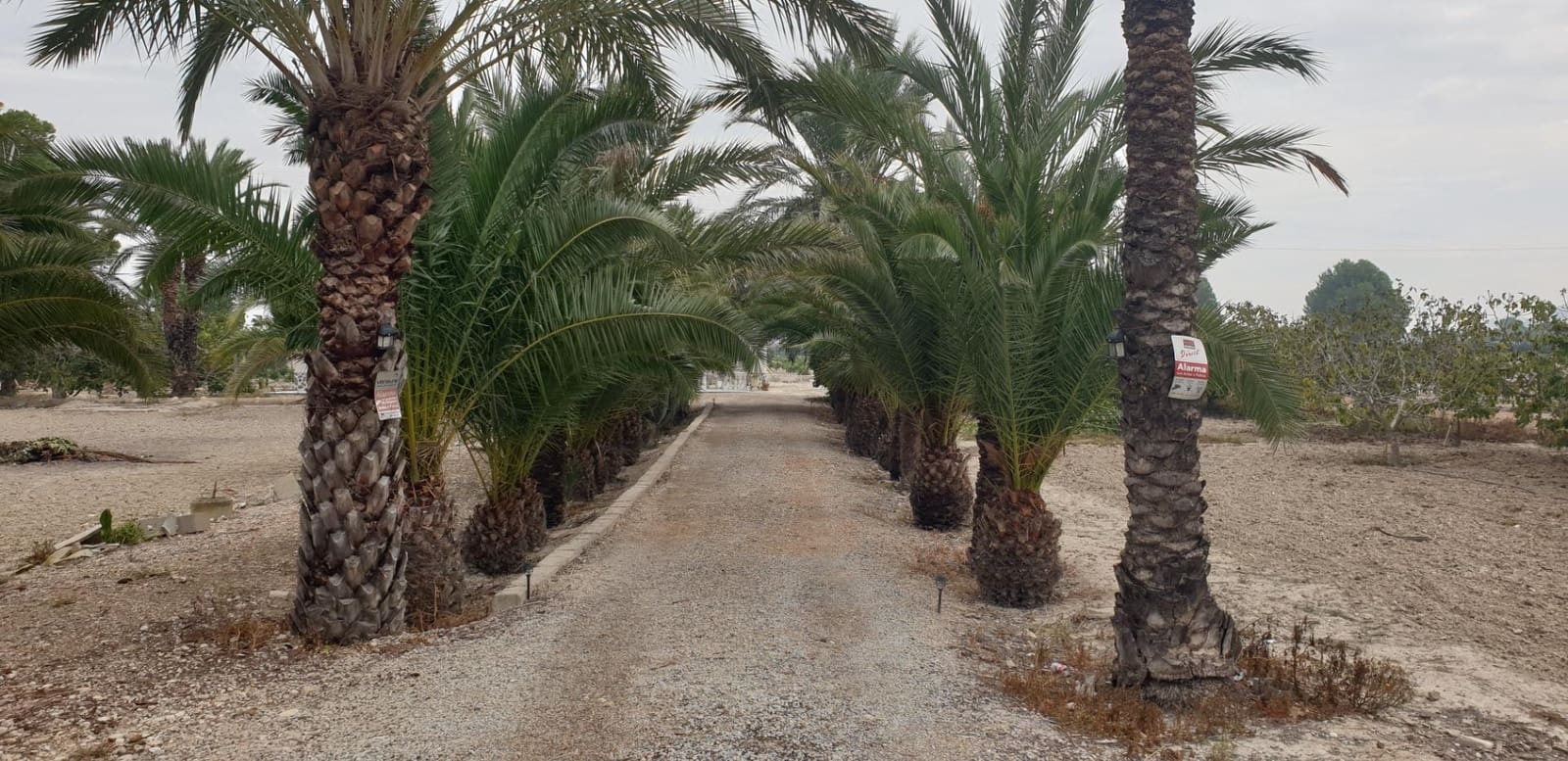 4 soverom Finca/Herregård til salgs i Granja de Rocamora med svømmebasseng garasje - € 224 999 (Ref: 8250406)