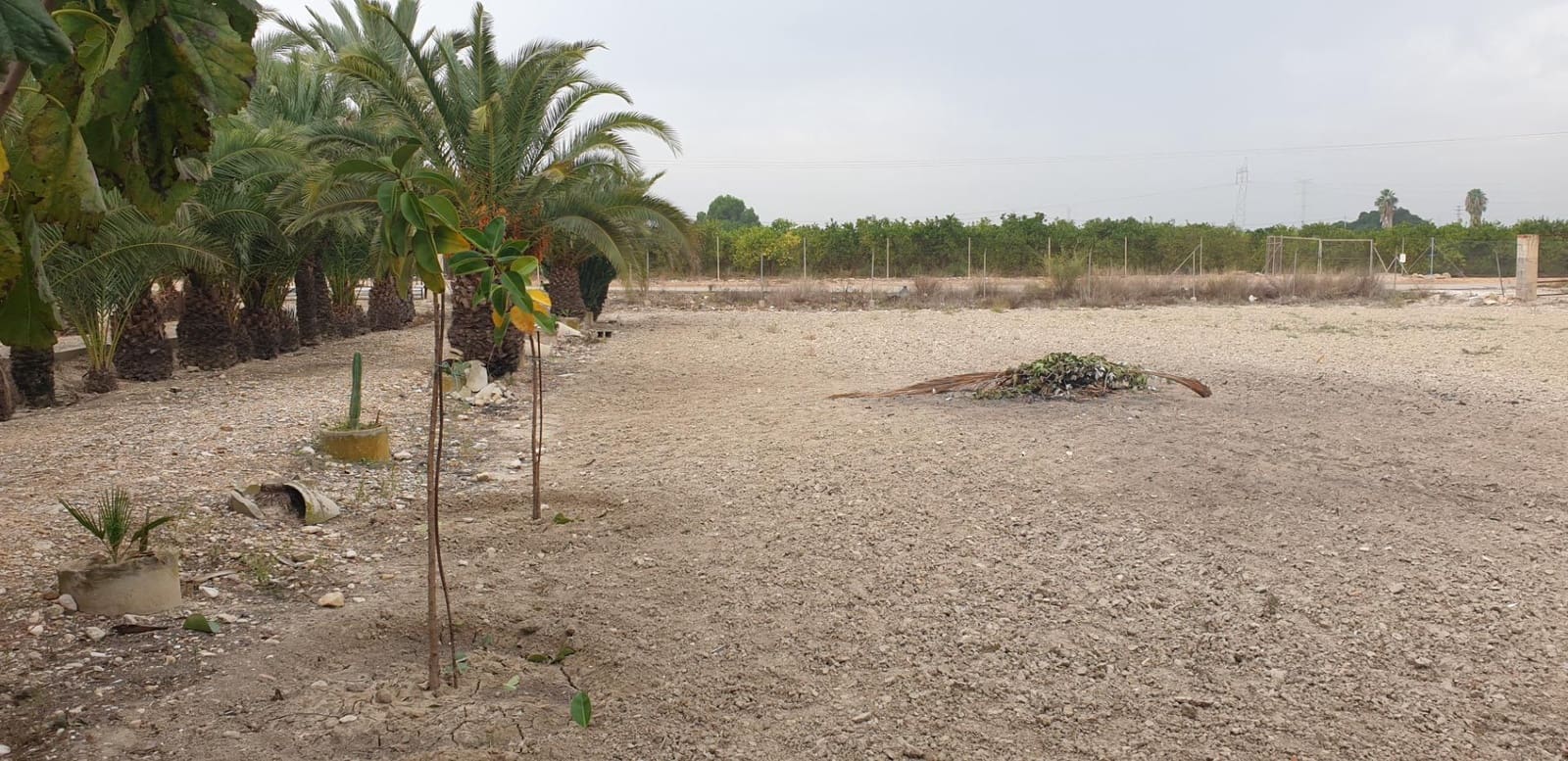 4 soverom Finca/Herregård til salgs i Granja de Rocamora med svømmebasseng garasje - € 224 999 (Ref: 8250406)