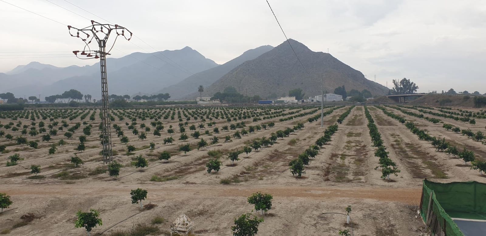 4 soverom Finca/Herregård til salgs i Granja de Rocamora med svømmebasseng garasje - € 224 999 (Ref: 8250406)