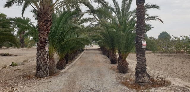 4 soveværelse Finca/Landehus til salg i Granja de Rocamora med swimmingpool garage - € 224.999 (Ref: 8250406)