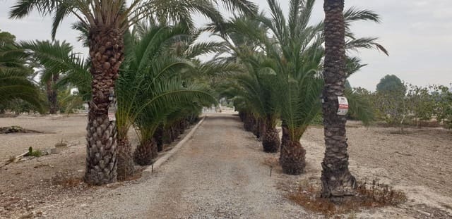 4 soveværelse Finca/Landehus til salg i Granja de Rocamora med swimmingpool garage - € 209.999 (Ref: 8250406)