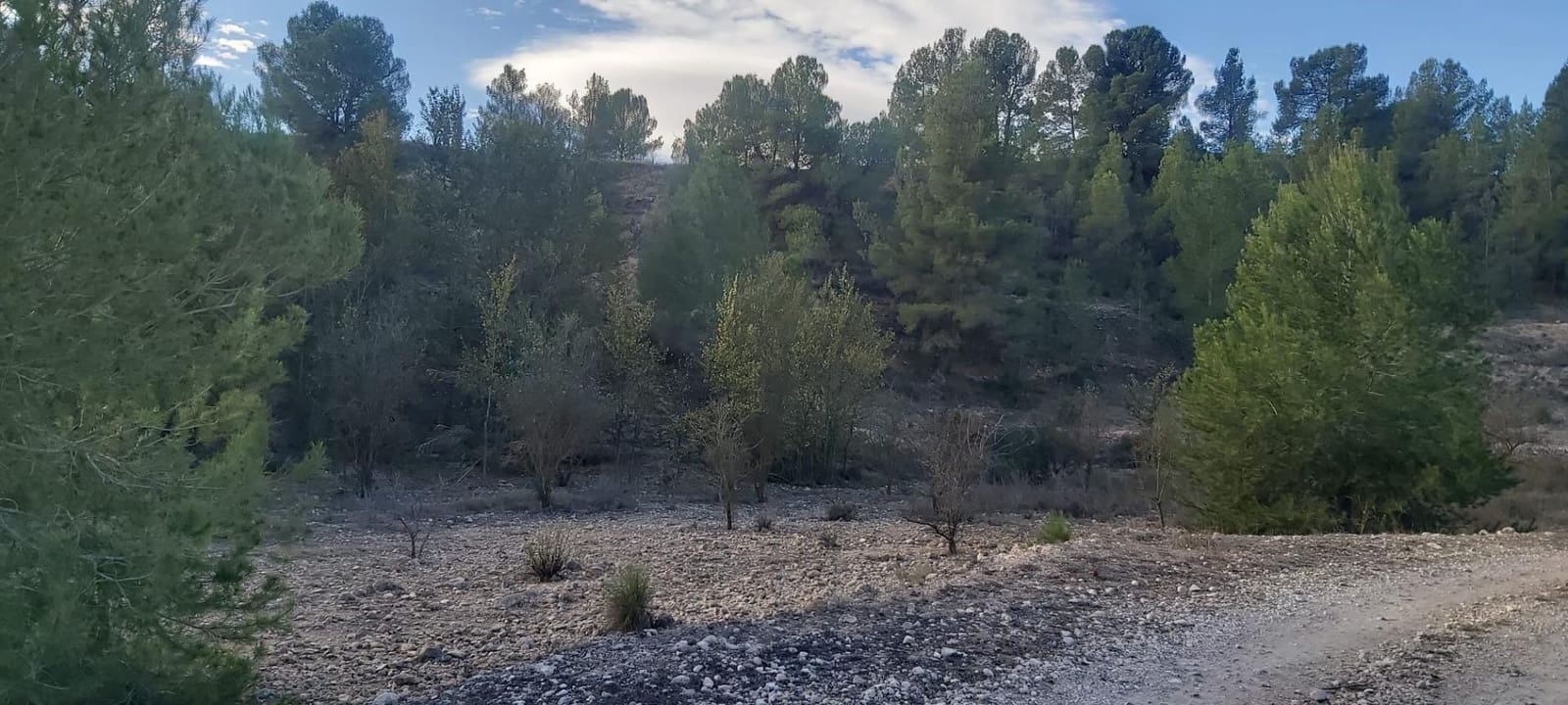 Landgrundstück zu verkaufen in Monovar / Monover - 120.000 € (Ref: 8298409)