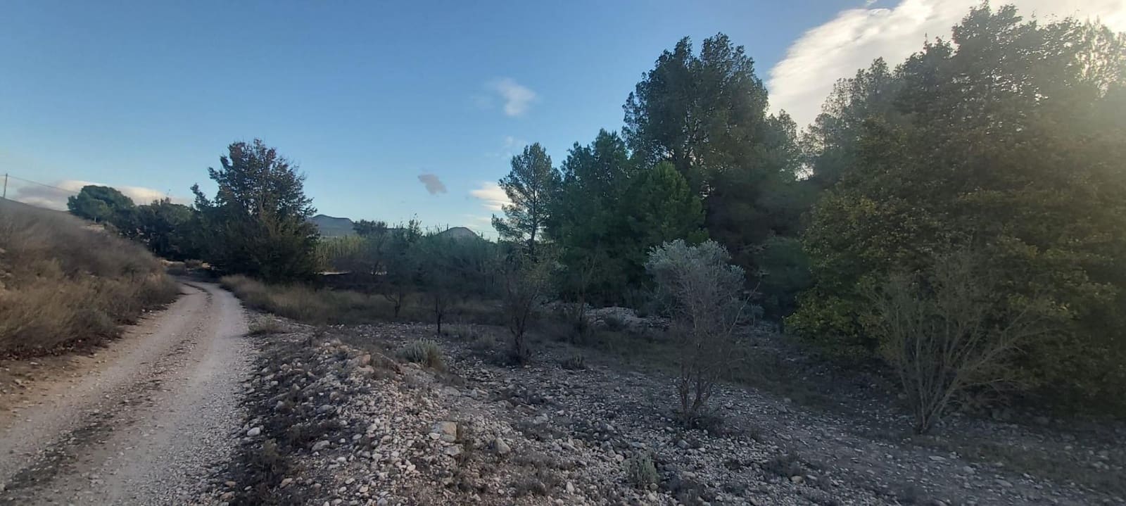 Landgrundstück zu verkaufen in Monovar / Monover - 120.000 € (Ref: 8298409)