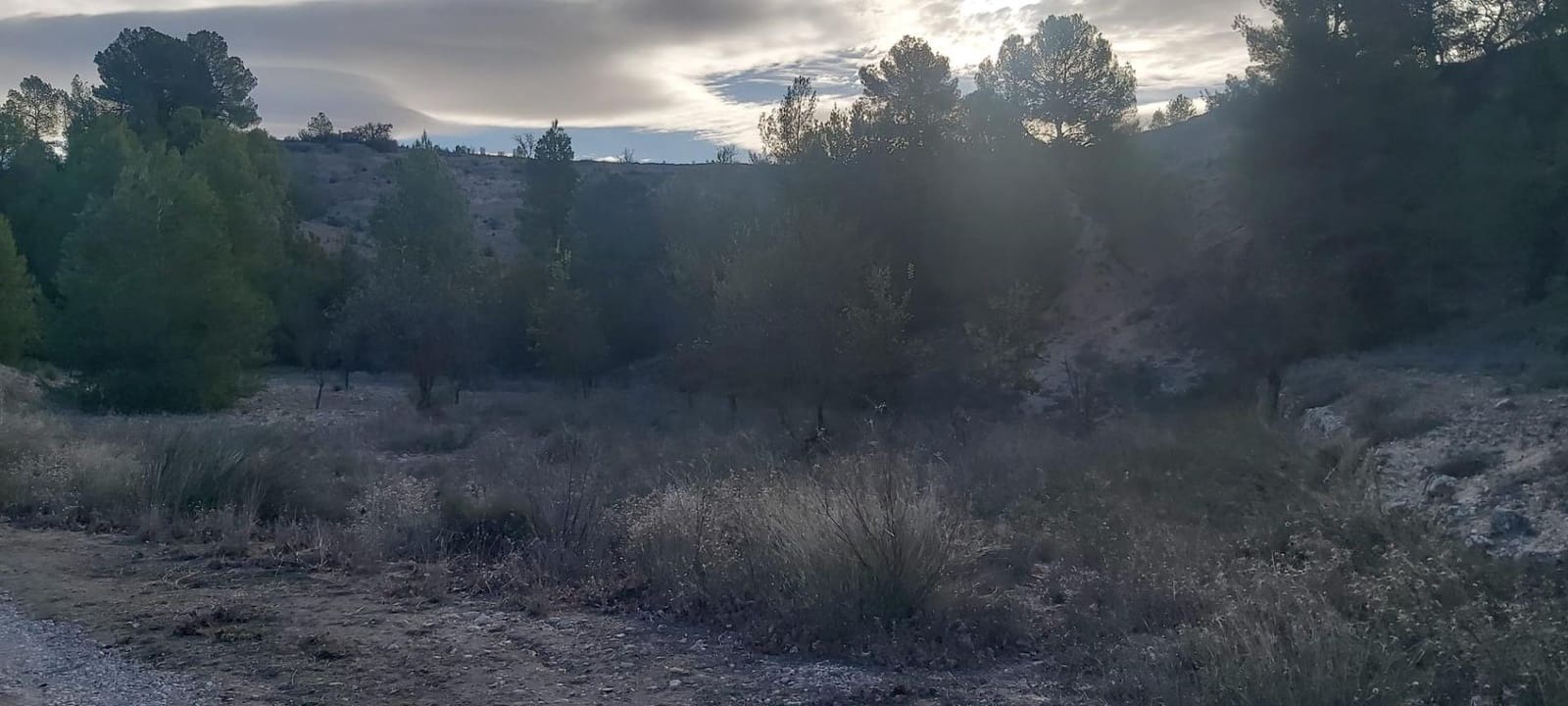Landgrundstück zu verkaufen in Monovar / Monover - 120.000 € (Ref: 8298409)