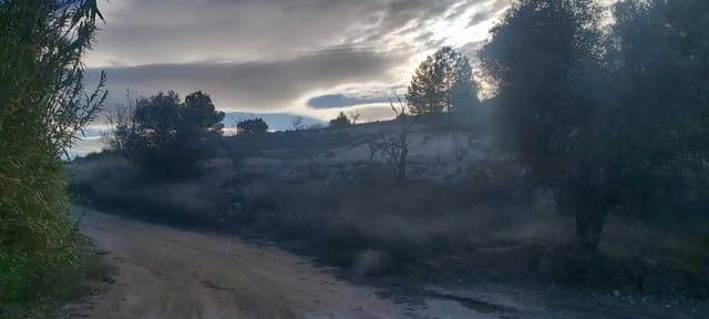 Terre non Aménagée à vendre à Monóvar / Monóver - 120 000 € (Ref: 8298409)