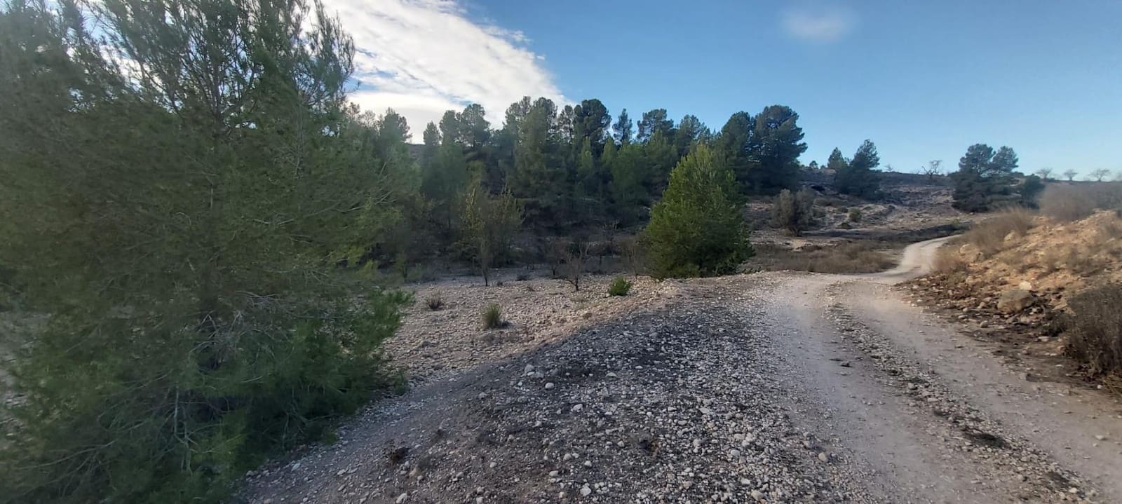 Landgrundstück zu verkaufen in Monovar / Monover - 120.000 € (Ref: 8298409)