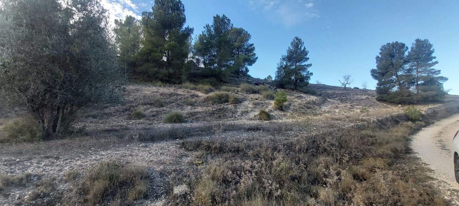 Landgrundstück zu verkaufen in Monovar / Monover - 120.000 € (Ref: 8298409)