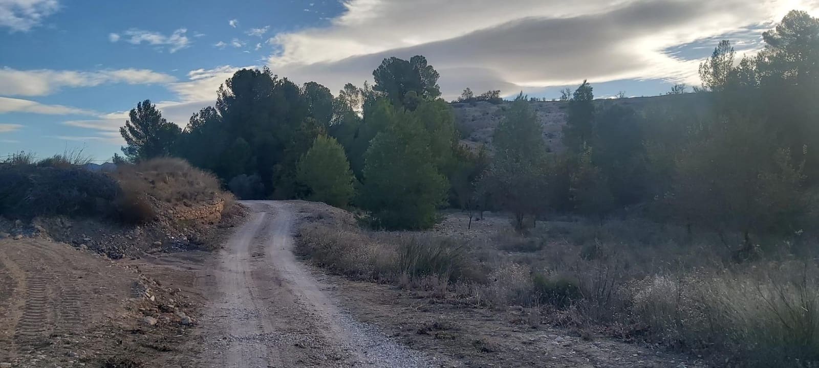 Landgrundstück zu verkaufen in Monovar / Monover - 120.000 € (Ref: 8298409)
