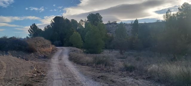 Terre non Aménagée à vendre à Monóvar / Monóver - 120 000 € (Ref: 8298409)