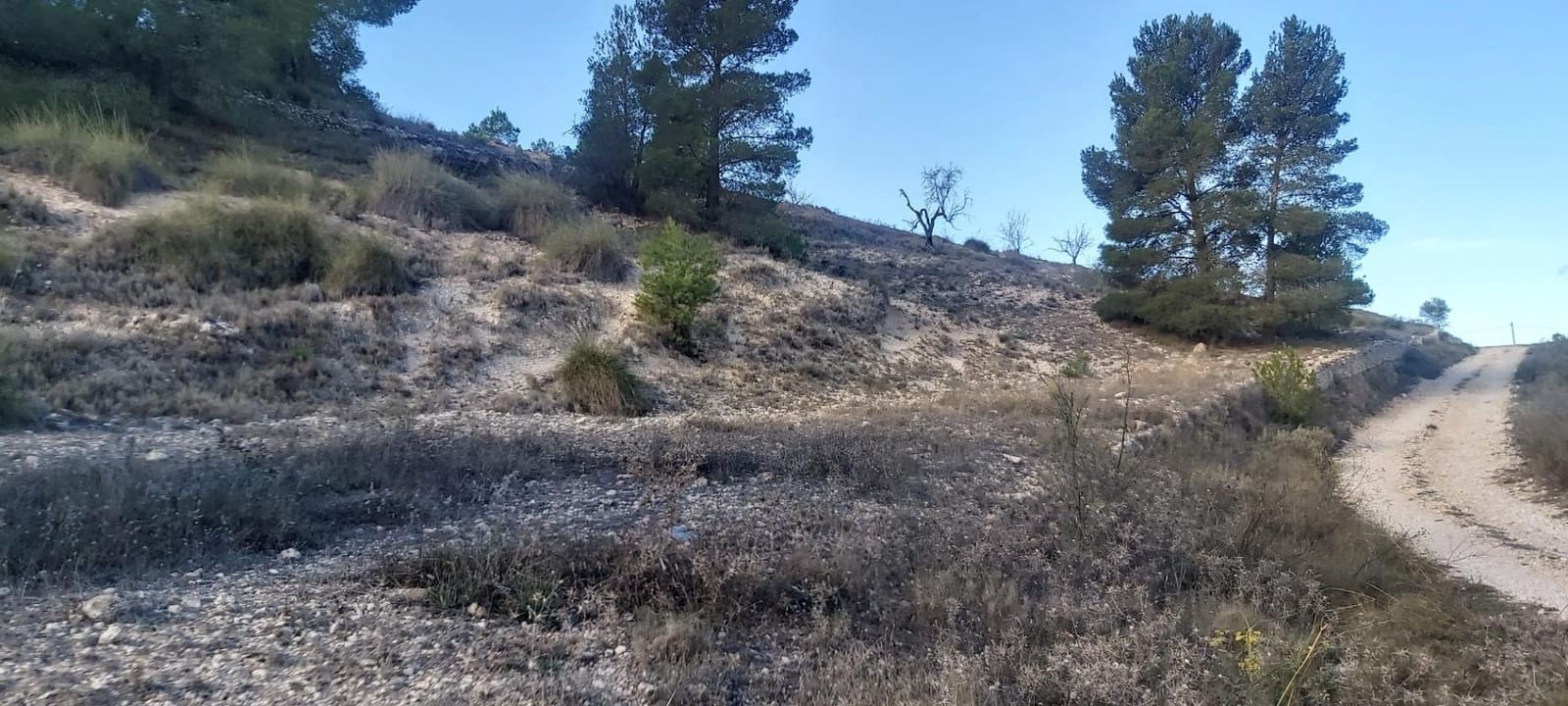 Landgrundstück zu verkaufen in Monovar / Monover - 120.000 € (Ref: 8298409)
