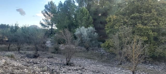 Terre non Aménagée à vendre à Monóvar / Monóver - 120 000 € (Ref: 8298409)