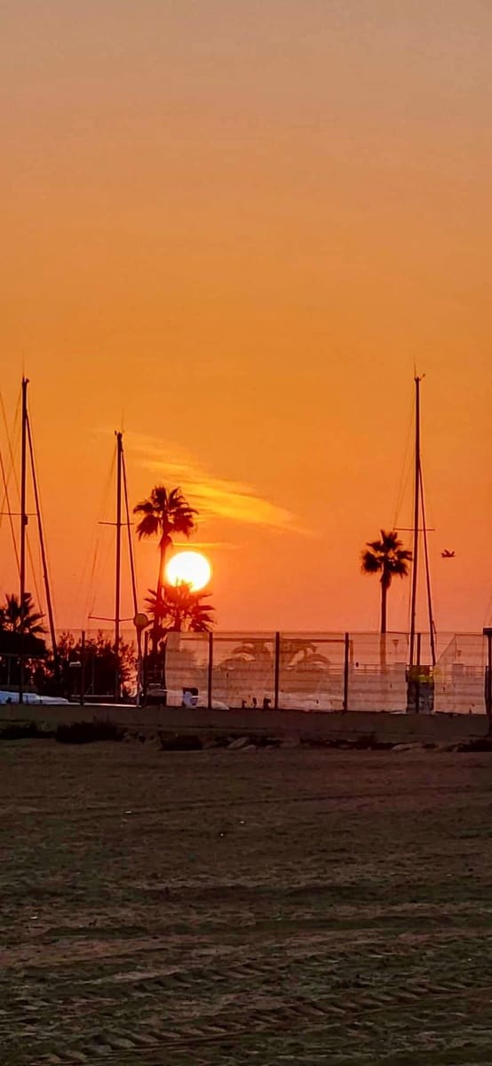 5 slaapkamer Villa te koop in Oliva met zwembad - € 899.000 (Ref: 8394881)