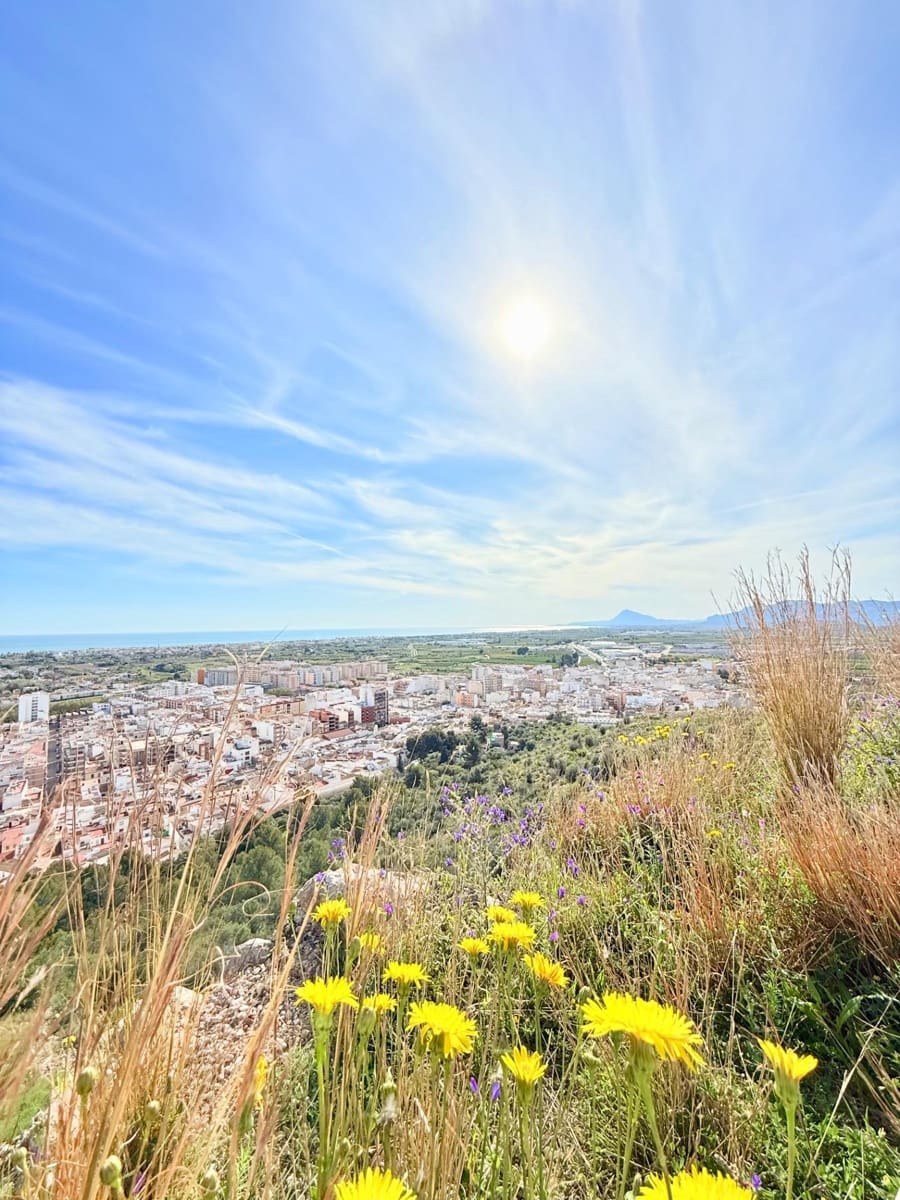 5 slaapkamer Villa te koop in Oliva met zwembad - € 899.000 (Ref: 8394881)