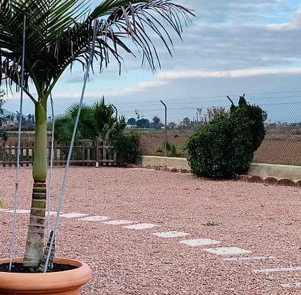 Chalet de 4 habitaciones en Dolores en venta con piscina garaje - 460.000 € (Ref: 8421289)