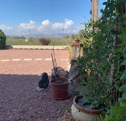 Chalet de 4 habitaciones en Dolores en venta con piscina garaje - 460.000 € (Ref: 8421289)