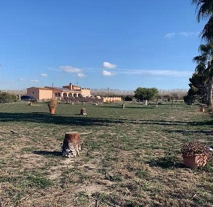 Chalet de 4 habitaciones en Dolores en venta con piscina garaje - 460.000 € (Ref: 8421289)