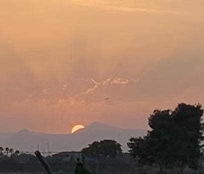 Chalet de 4 habitaciones en Dolores en venta con piscina garaje - 460.000 € (Ref: 8421289)