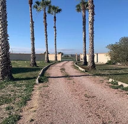 Chalet de 4 habitaciones en Dolores en venta con piscina garaje - 460.000 € (Ref: 8421289)