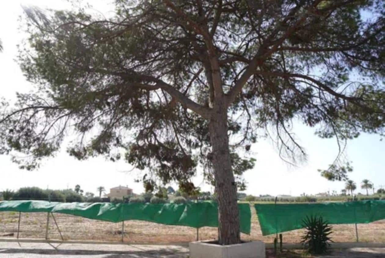 5 bedroom Villa for sale in Perleta with garage - € 399,000 (Ref: 8423301)